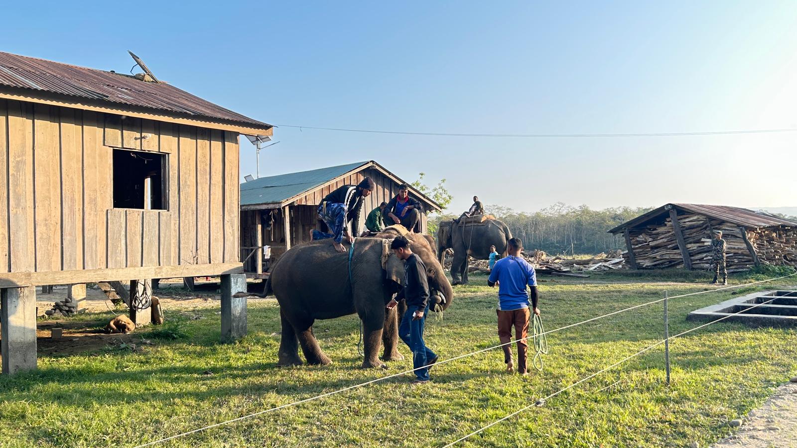 Chitwan National Park