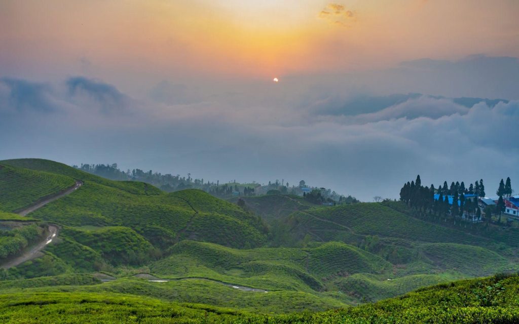 Illam